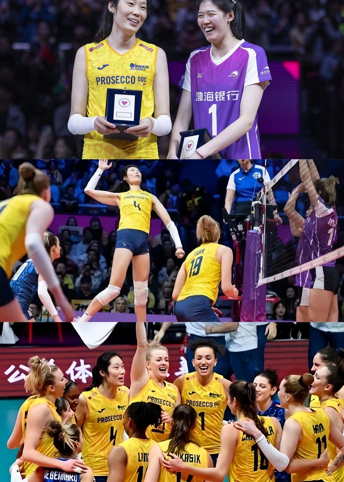 米兰网站-“排球世界杯：中国女排重塑辉煌，夺冠之路艰辛！”