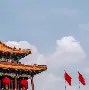 “国家队新战术试验，如何应对亚洲强敌？”的简单介绍