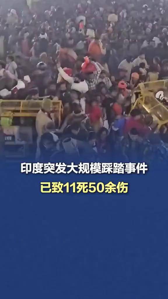 米兰网页版-印度板球队世界杯夺冠，举国欢庆的简单介绍