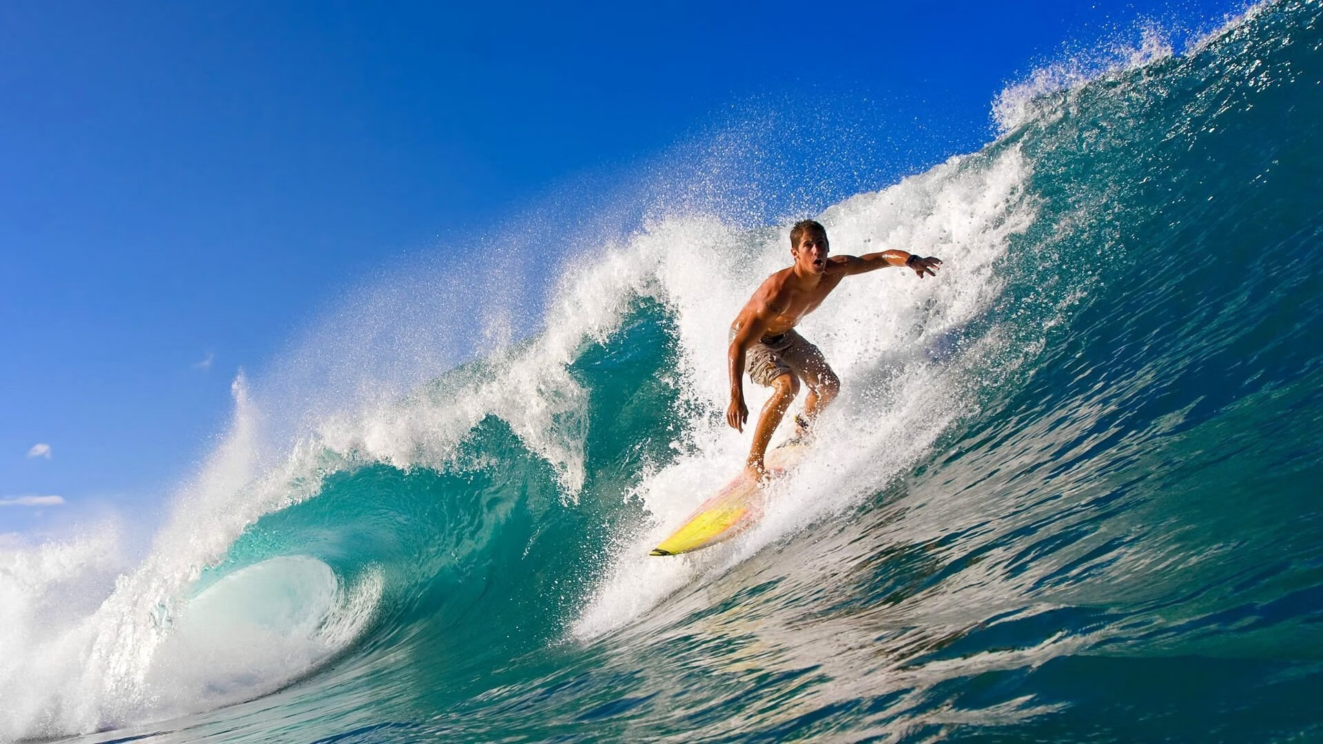 伟大教练的战术哲学：他们如何改变了足球？，足球教练战术大师